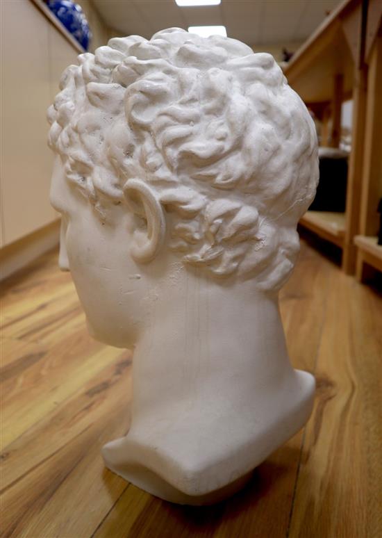 A white plaster portrait bust of a Roman gentleman, height 43cm